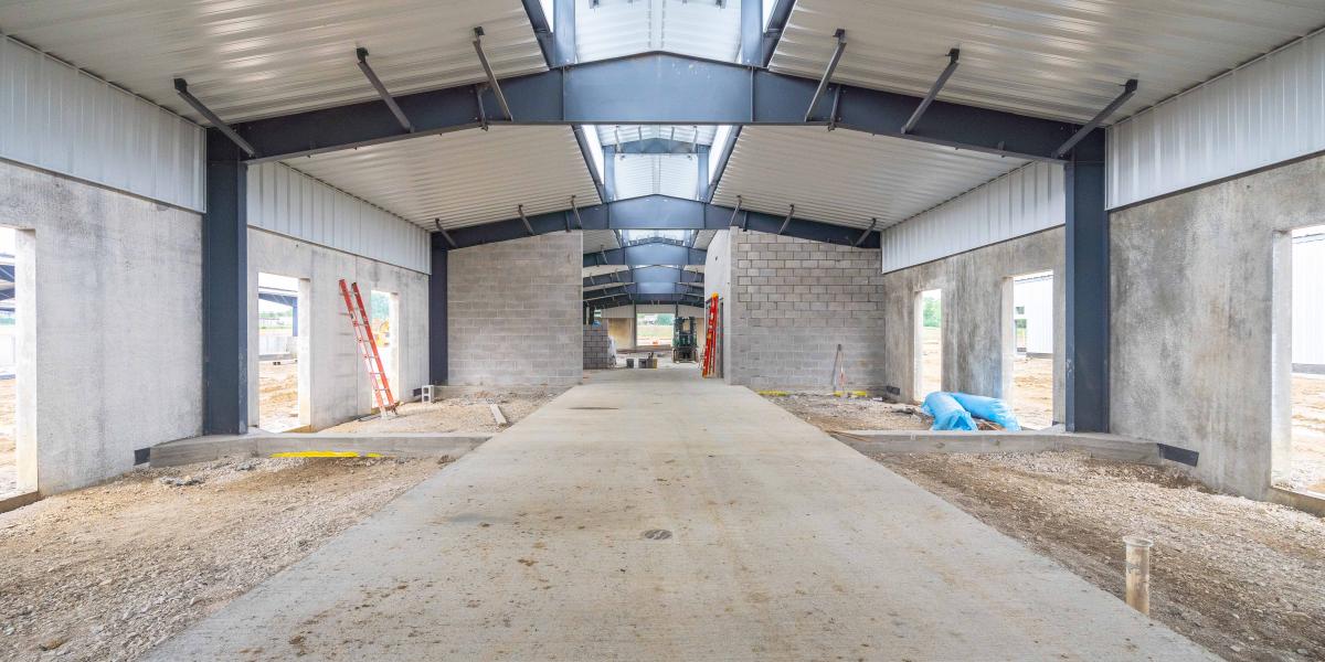 A view inside a barn where concrete is seen down the middle and dirt floors along the sides for horse stalls.