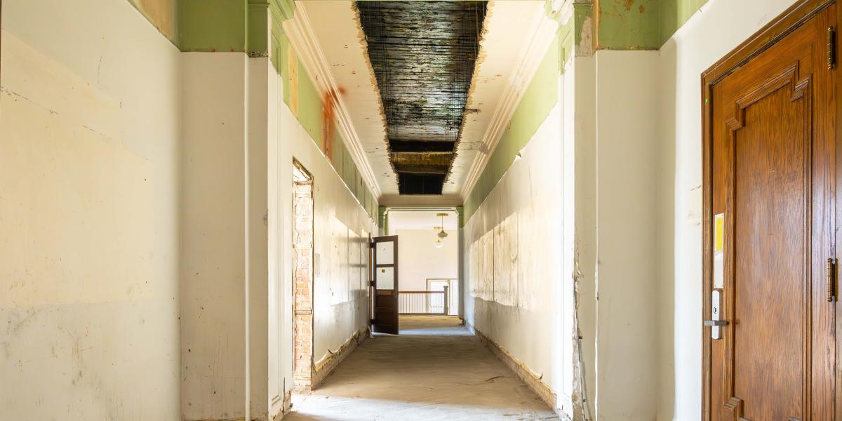 A white hallway with green paint at the top and crown molding can be seen above the green.
