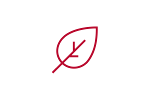 Leaf icon